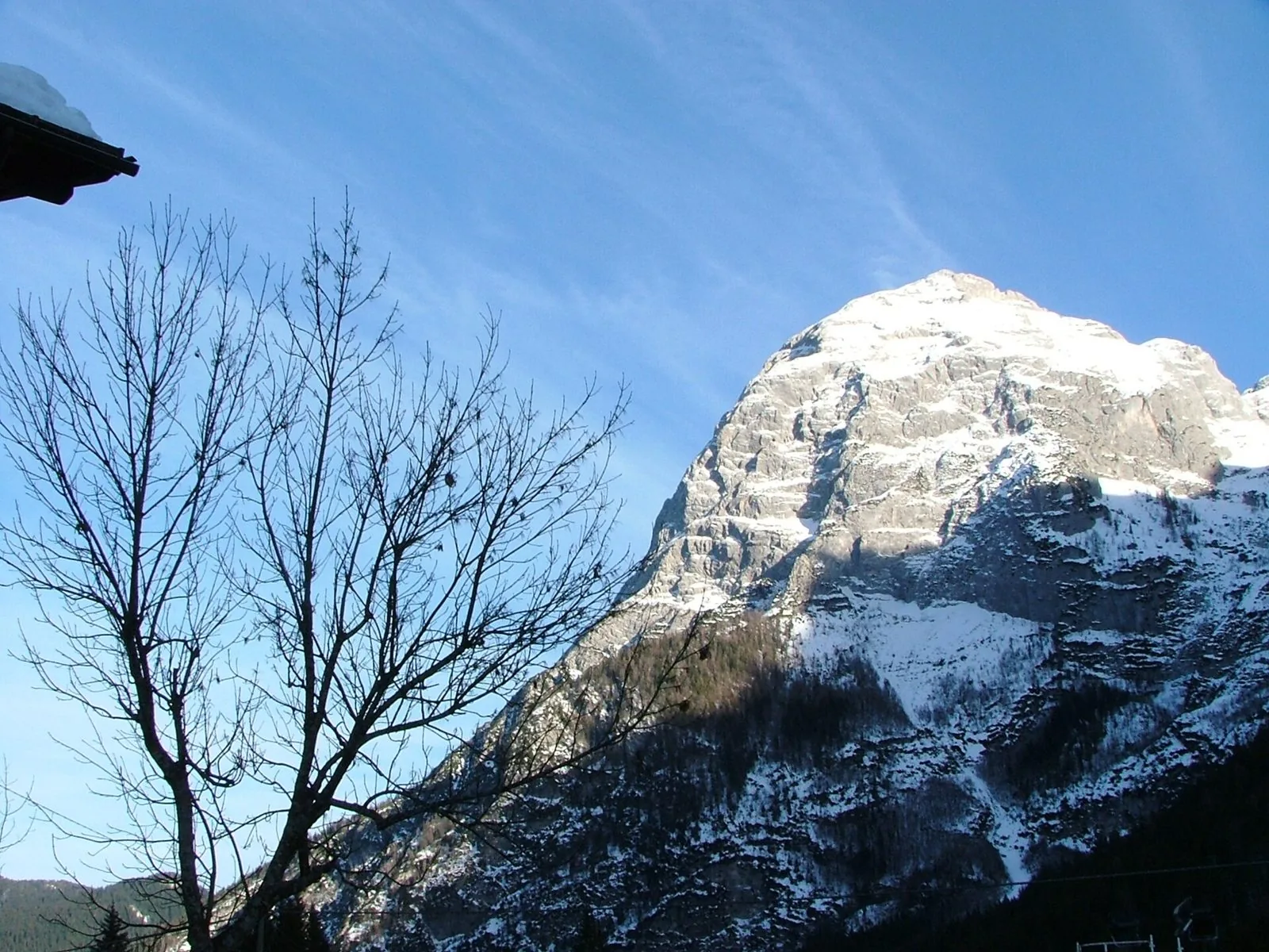 Parete rocciosa delle Marmarole coperta di neve vista da Palus San Marco in una limpida giornata invernale, con un albero spoglio in primo piano